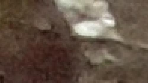 20220303_114245.jpg